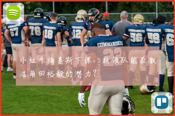 小红牛梅基斯下课,新领队能否激活角田裕毅的潜力?