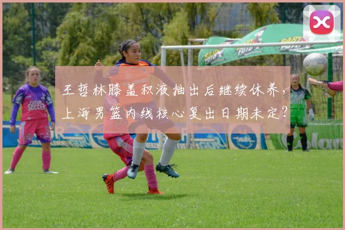 王哲林膝盖积液抽出后继续休养,上海男篮内线核心复出日期未定?